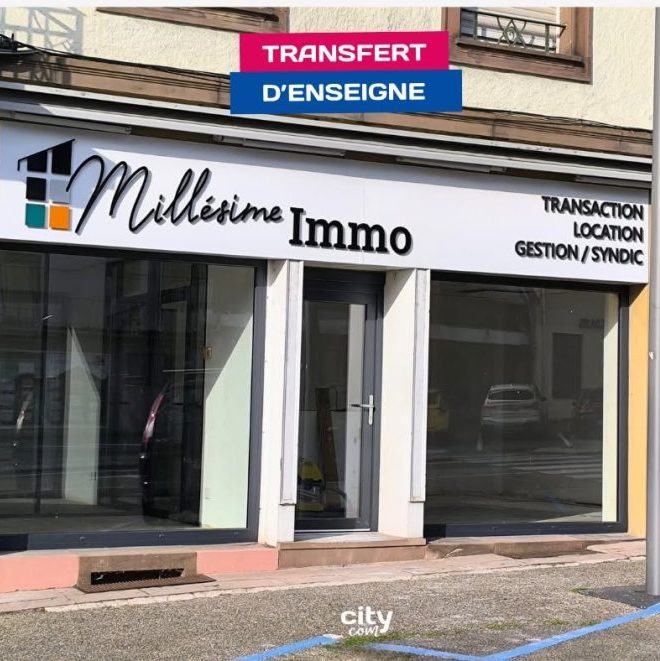 Pose d'enseigne à Sarrebourg pour Millesime Immo